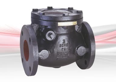 Check Valve (Threaded/Flanged)