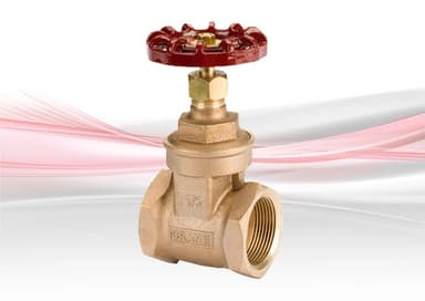 Gate Valve (Threaded/Flanged)